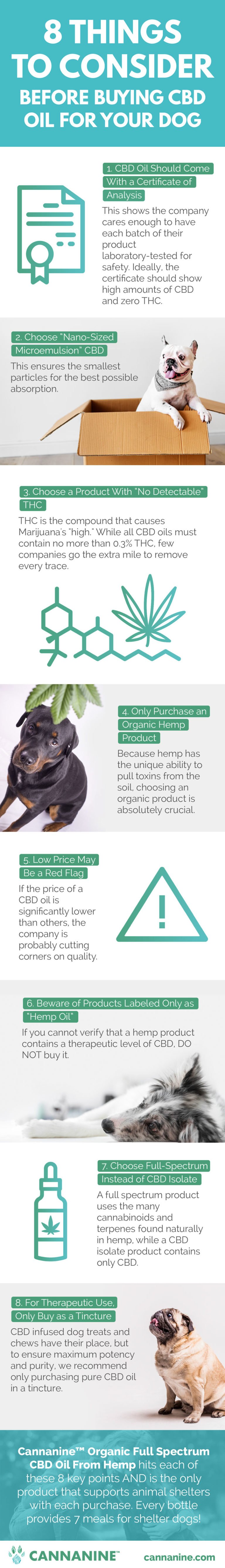 CBD for Dogs Buyer’s Guide: 8 Things To Consider Before Buying CBD Oil ...