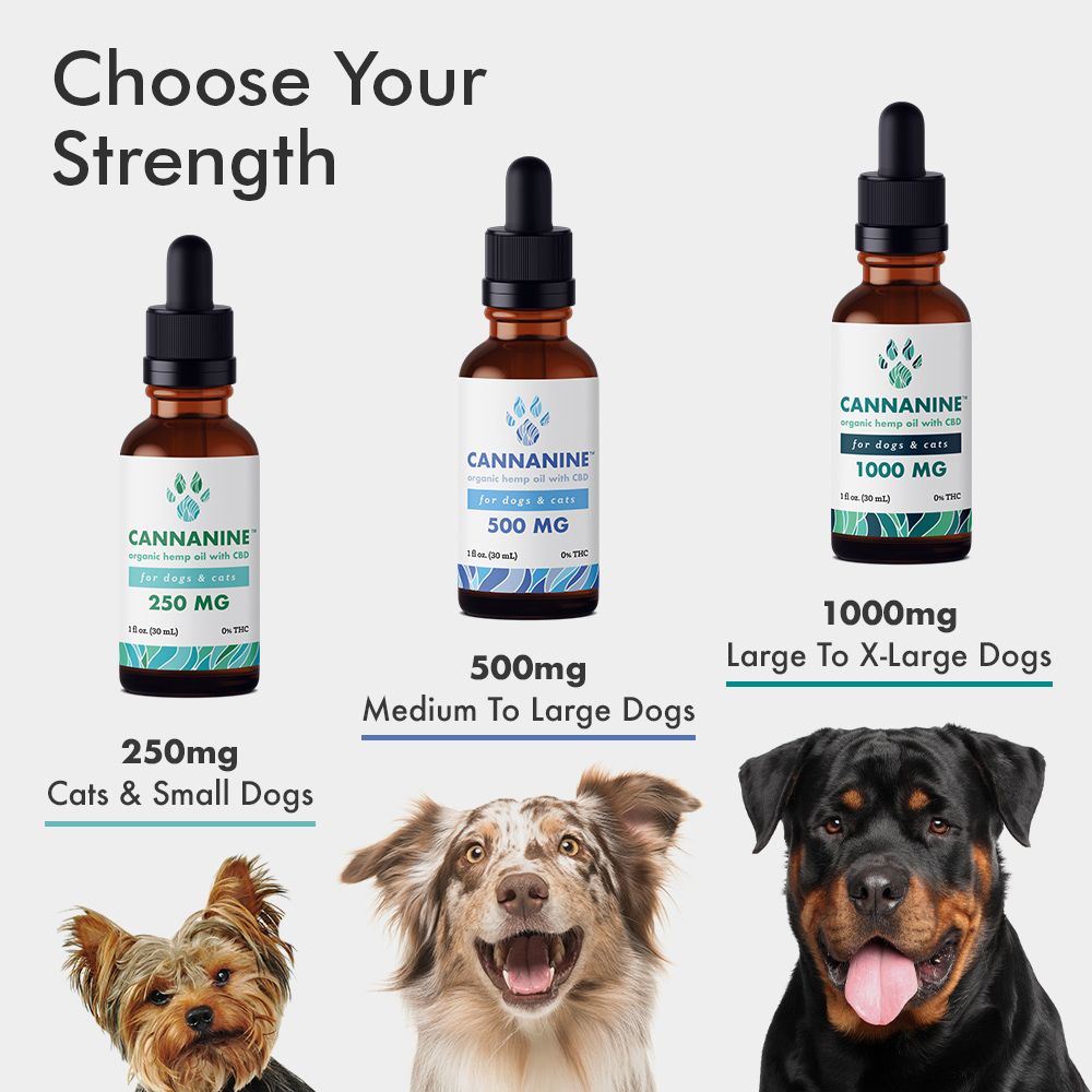 Broad Spectrum CBD Oil For Dogs And Cats (250mg) | Cannanine™