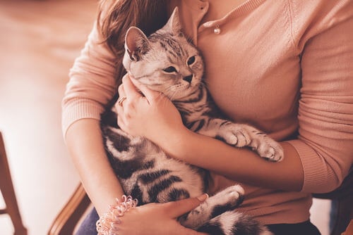 A woman hugs her cat after giving CBD oil