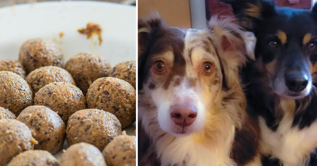 CBD No Bake Pumpkin, Turmeric & Peanut Butter Dog Treat Recipe