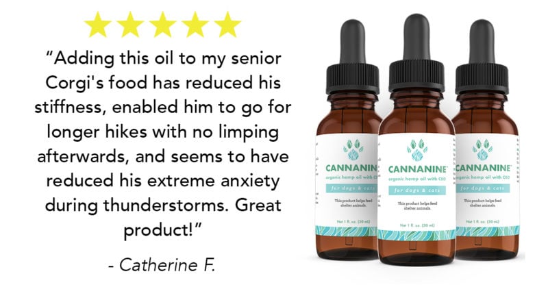 CBD oil testimonial from client