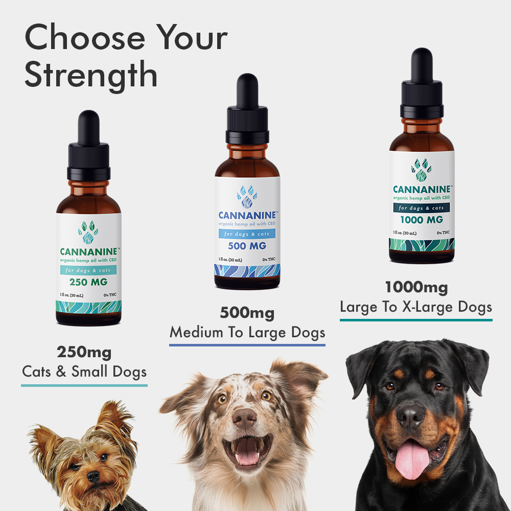 CBD oil potency fit for different dog sizes determines dosage level