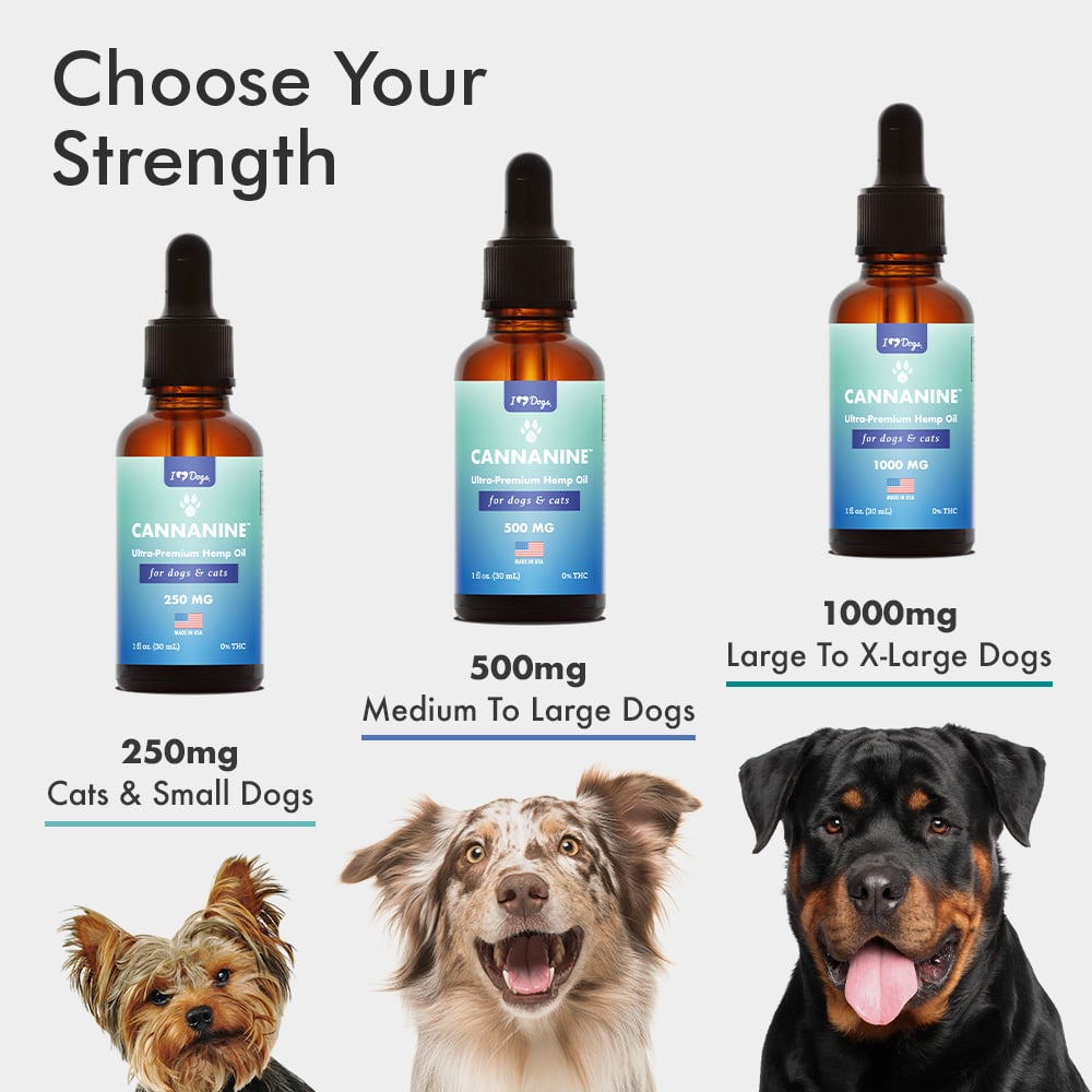 can cbd drops help dogs anxiety