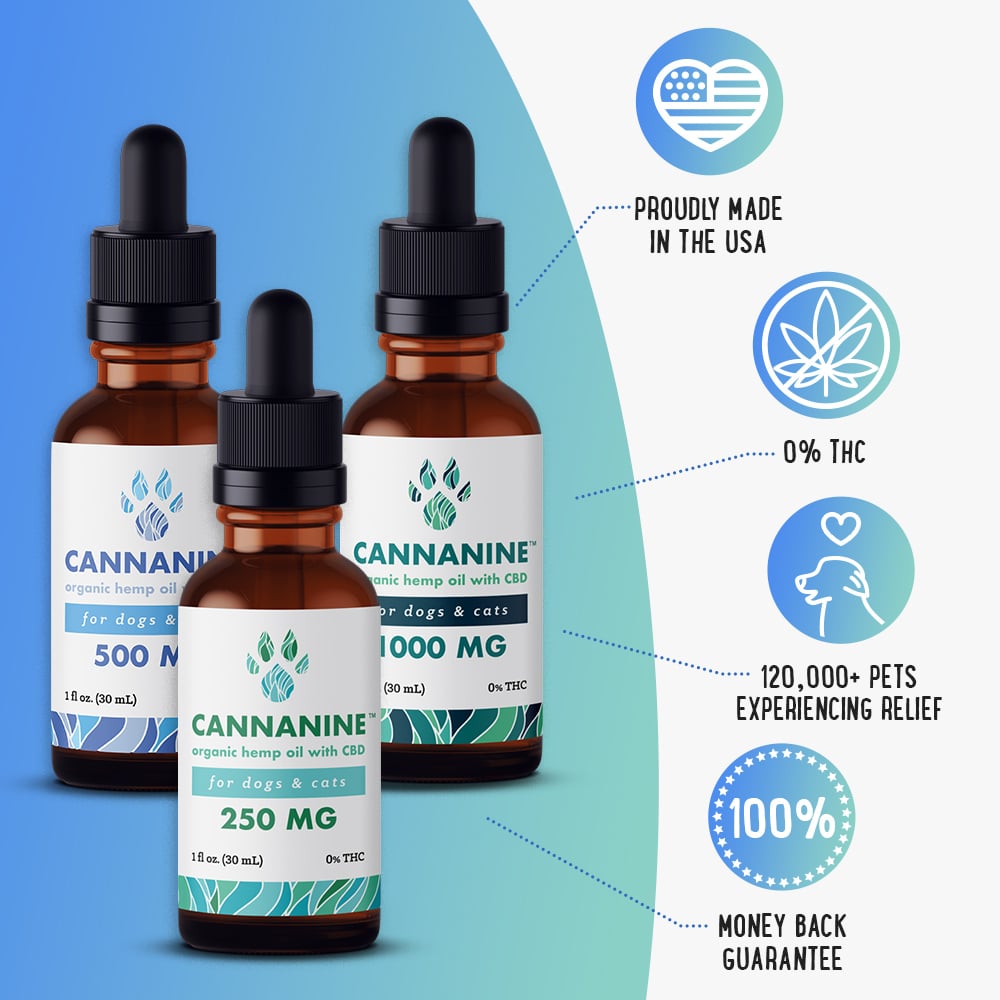 Cannanine organic CBD oil for dogs anxiety problems