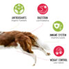 iHeartDogs Nutrition Boost Chicken Food Topper (8 oz Pouch) - Image 4