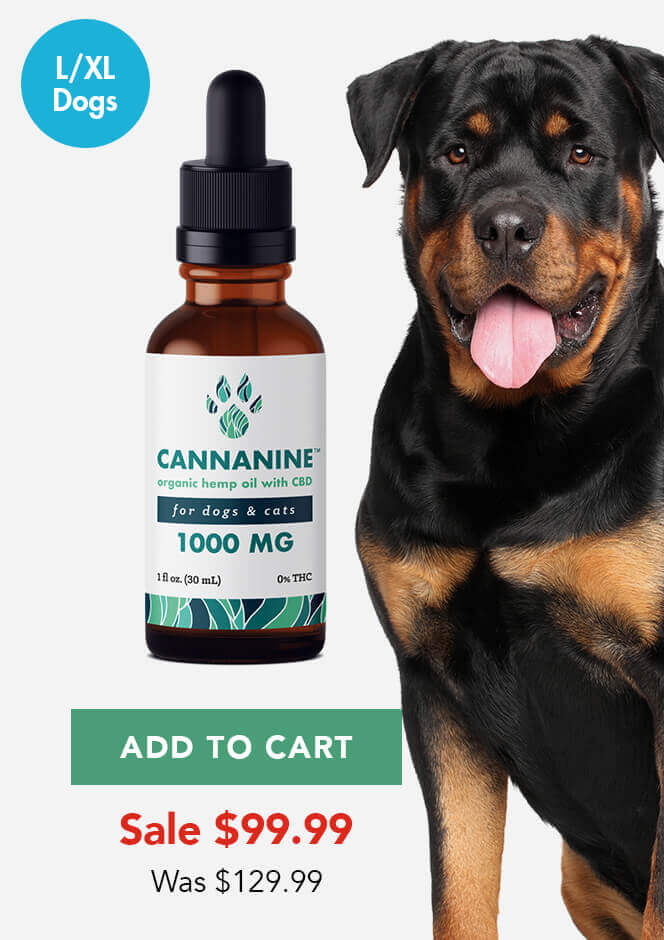 1000mg Cannanine Ultra Premium Full Spectrum CBD Hemp Oil for Dogs