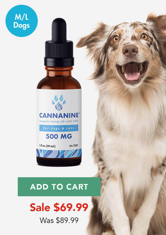 500mg Cannanine Ultra Premium Full Spectrum CBD Hemp Oil for Dogs