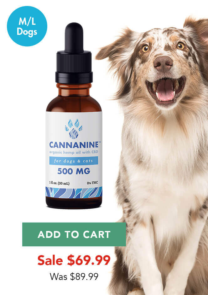 Cannanine CBD oil price tag