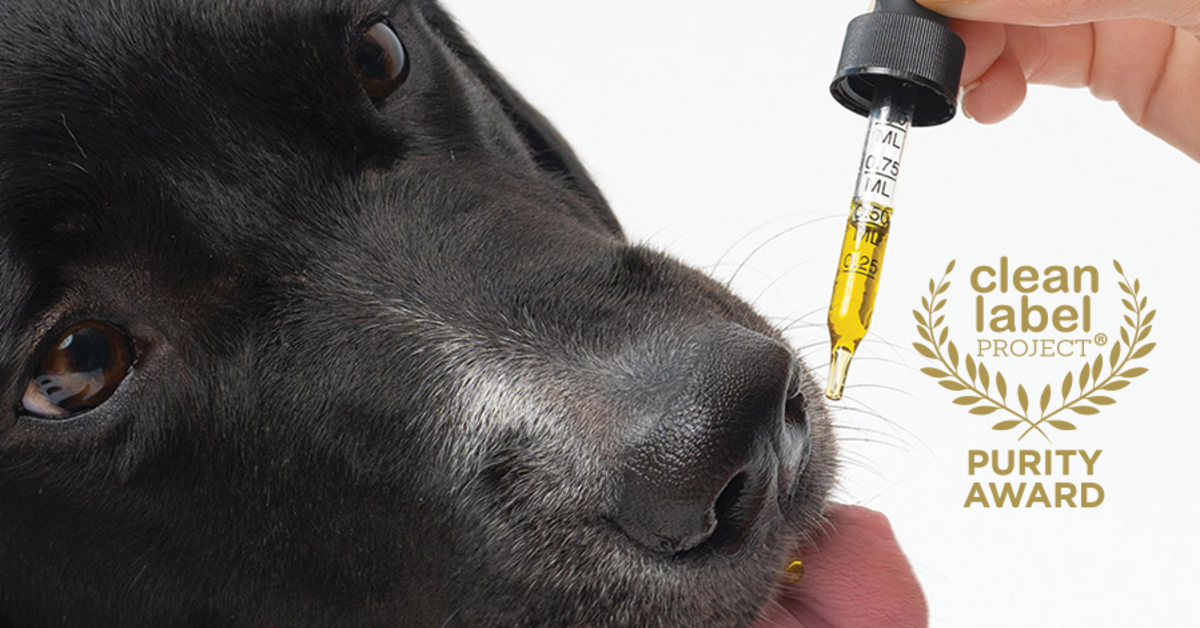 Cannanine’s Latest Award Proves What’s NOT On Your Pet’s CBD Label Matters Most
