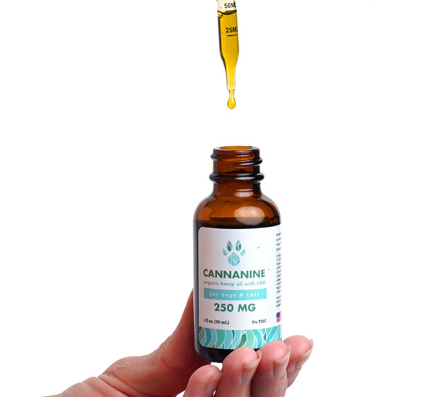 Best CBD Oil for Dogs With Collapsed Trachea: CBD for Dog Coughing