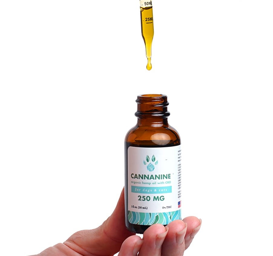 Best hemp outlet oil for dogs