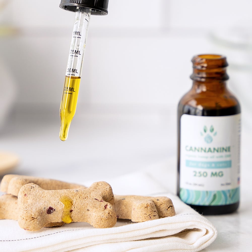 Infusing regular dog treats with the best CBD oil for dogs