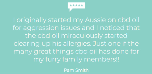 Product testimonial from Pam Smith