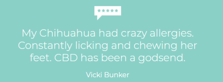 Product testimonial from Vicki Bunker