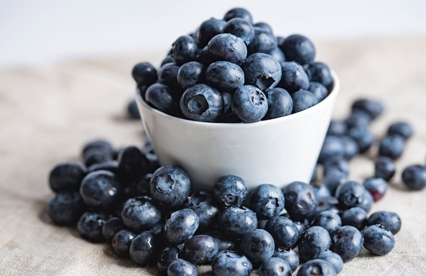 its okay if your dog eats some blueberries theyre not toxic to dogs and contain fiber