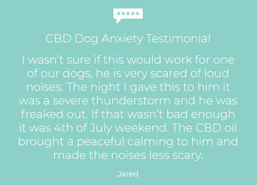 Customer testimonial using hemp oil dogs scared of thunderstorms