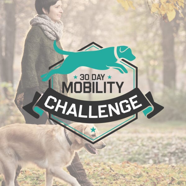 30 Day Mobility Challenge Course - One Time Payment - 75% Off
