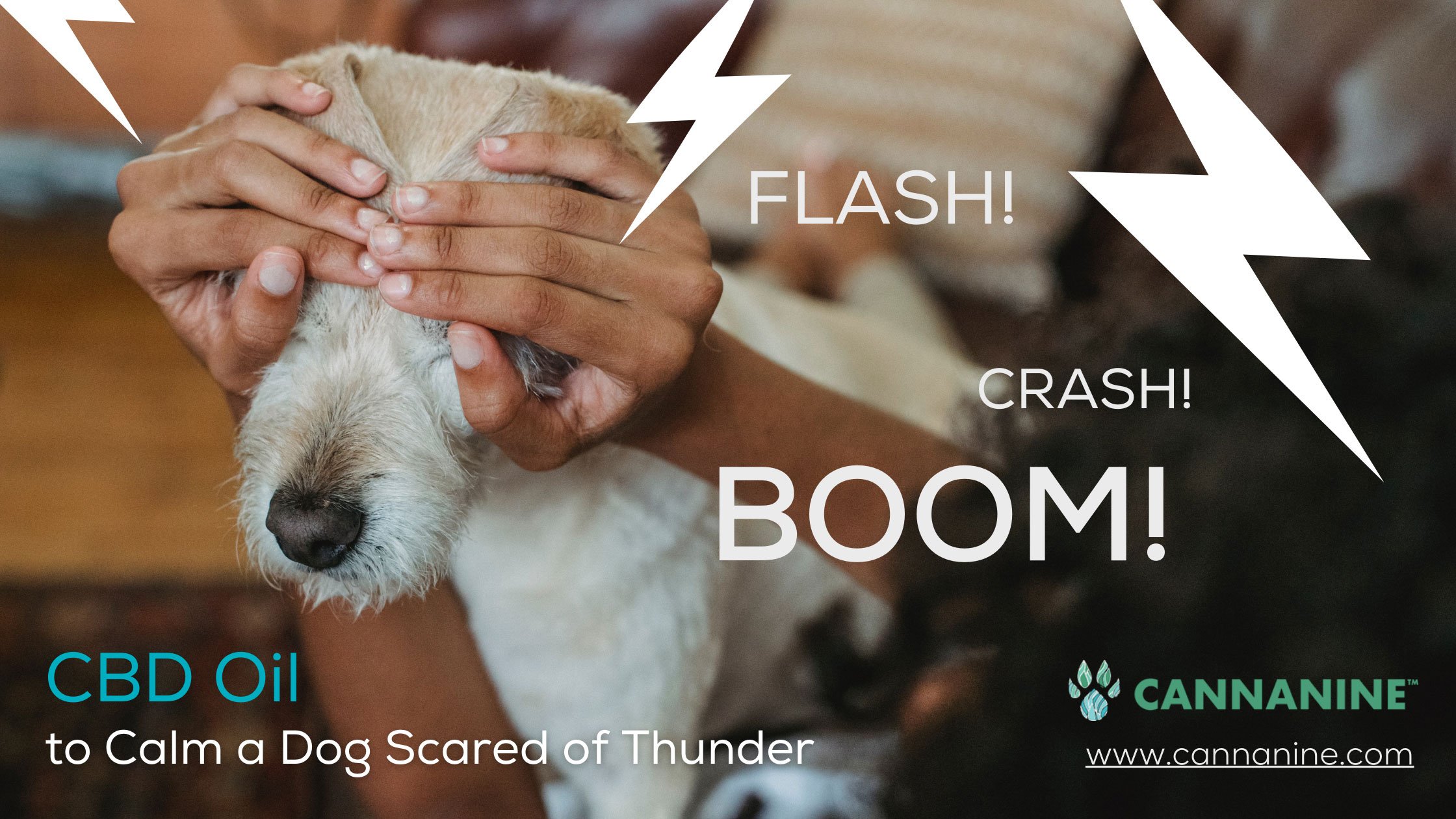 Cbd oil calm dog scared thunder