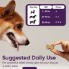 Special Offer!  iHeartDogs  3-In-1 Probiotic Dog Chews with Pumpkin for Improved Digestion and Gut Health — 90 Count - Image 6