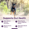 Special Offer!  iHeartDogs  3-In-1 Probiotic Dog Chews with Pumpkin for Improved Digestion and Gut Health — 90 Count - Image 3