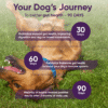 Special Offer!  iHeartDogs  3-In-1 Probiotic Dog Chews with Pumpkin for Improved Digestion and Gut Health — 90 Count - Image 5