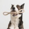 3 Step Anxiety Solution - Includes CBD Oil + CBD Bacon Flavored Chew Boosters + Perfect Tug Knot Rope Toy - Image 10
