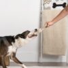 3 Step Anxiety Solution - Includes CBD Oil + CBD Bacon Flavored Chew Boosters + Perfect Tug Knot Rope Toy - Image 11