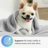 💕 Mother's Love CBD Fun Bundle: FREE Treats - SAVE UP TO 60% - Image 9
