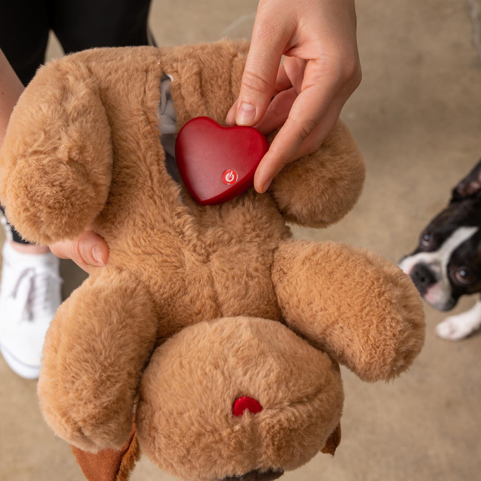 puppy heartbeat pillow