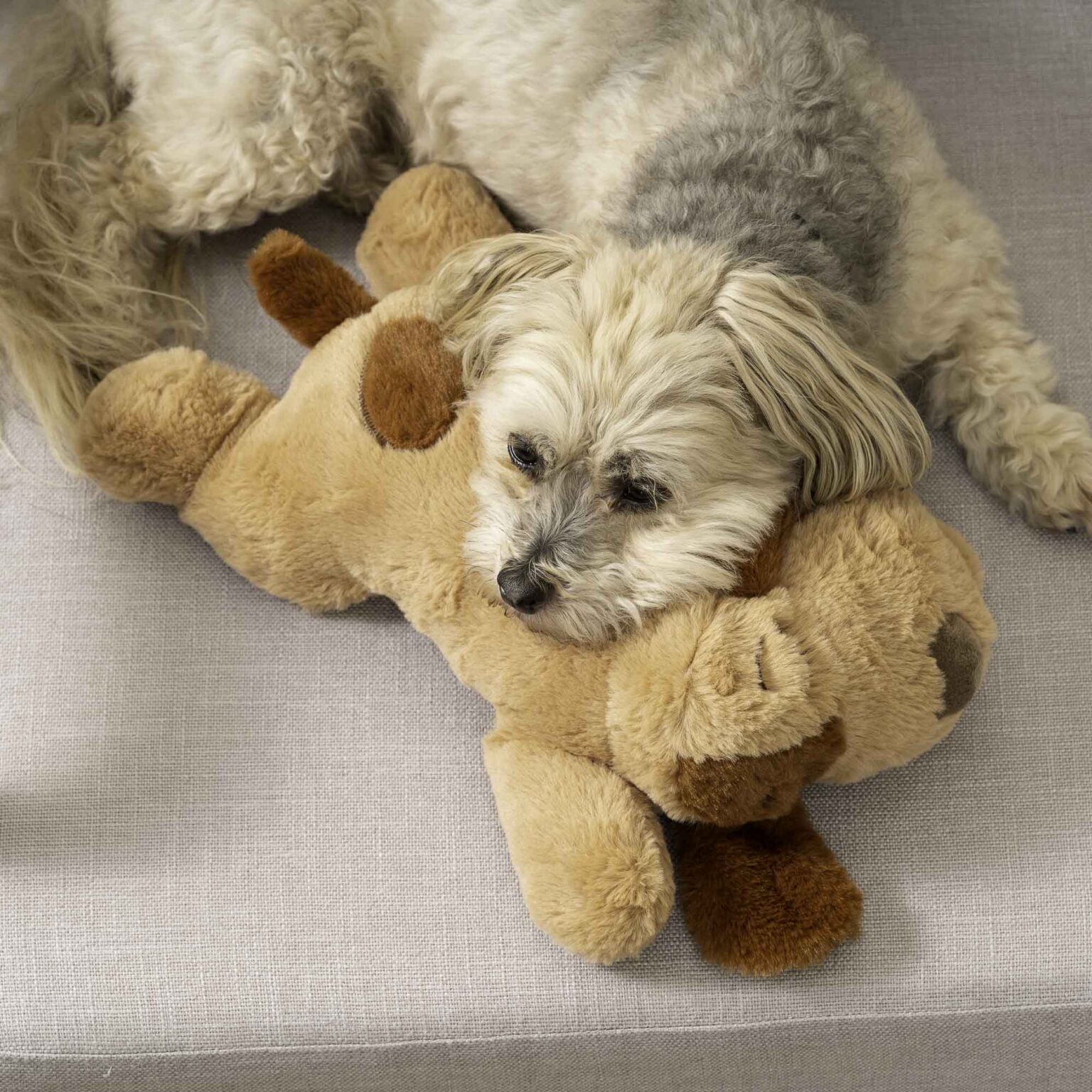 puppy heartbeat pillow