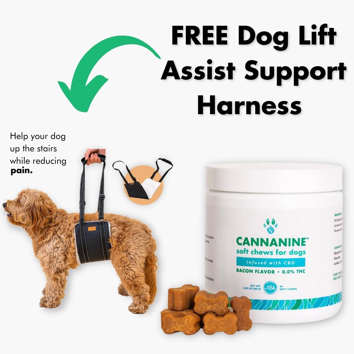 FREE Dog Lift Assist Support Harness – For Senior Dogs, Pet Support & Rehabilitation Sling Lift  With Purchase of Bacon Flavored CBD Soft Chews For Dogs 300 mg.-  60 ct.