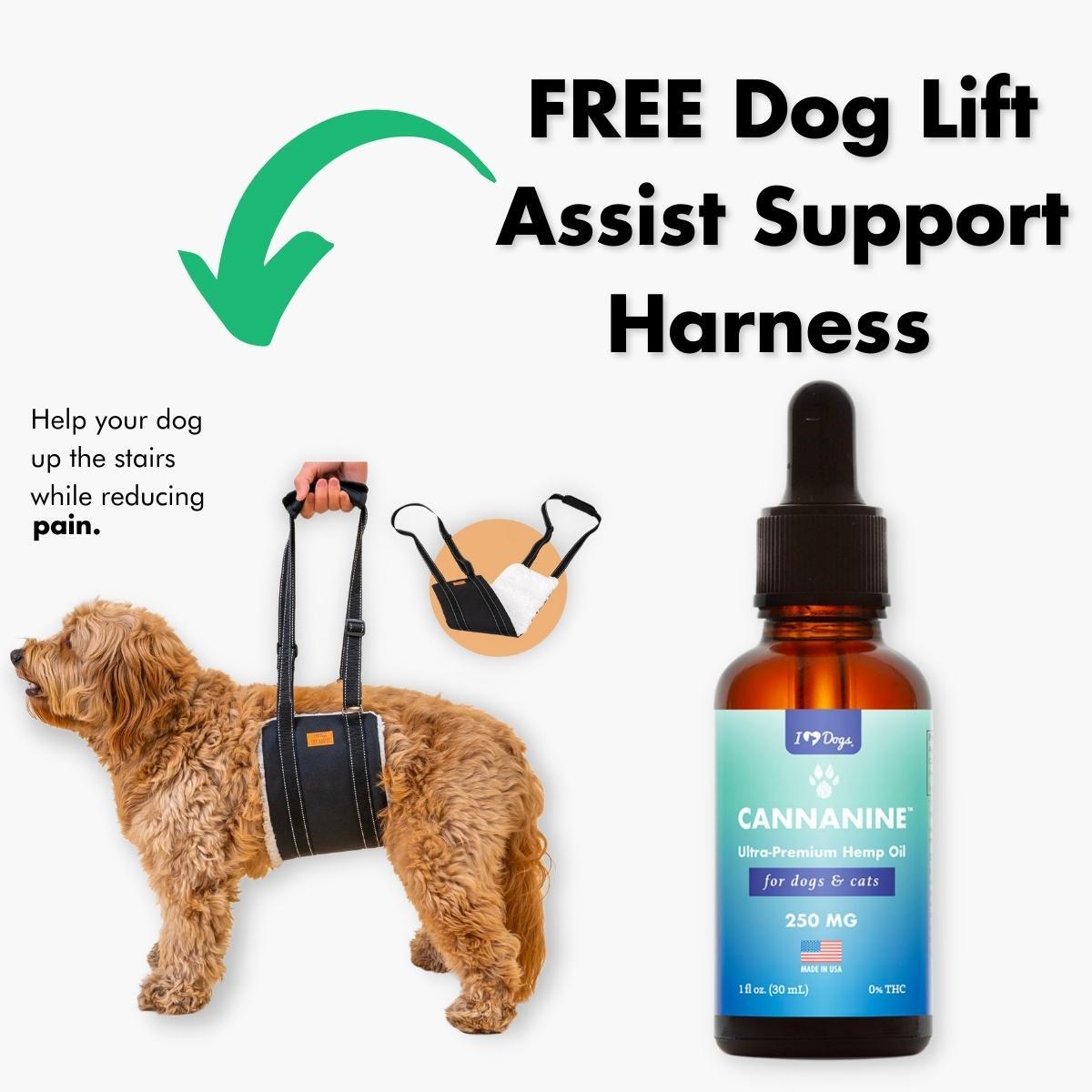 FREE Dog Lift Assist Support Harness – For Senior Dogs, Pet Support & Rehabilitation Sling Lift With Purchase of Ultra-Premium Broad Spectrum CBD Oil (250mg, 500mg or 1,000 mg)