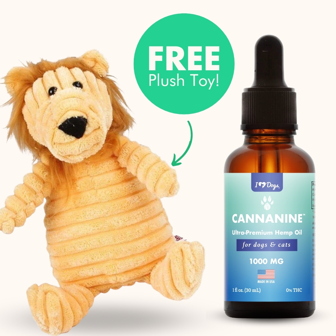 FREE Lilly The Lion Dog Plush Toy with Squeaker With Purchase of Ultra-Premium Broad Spectrum CBD Oil (250mg, 500mg or 1,000 mg)
