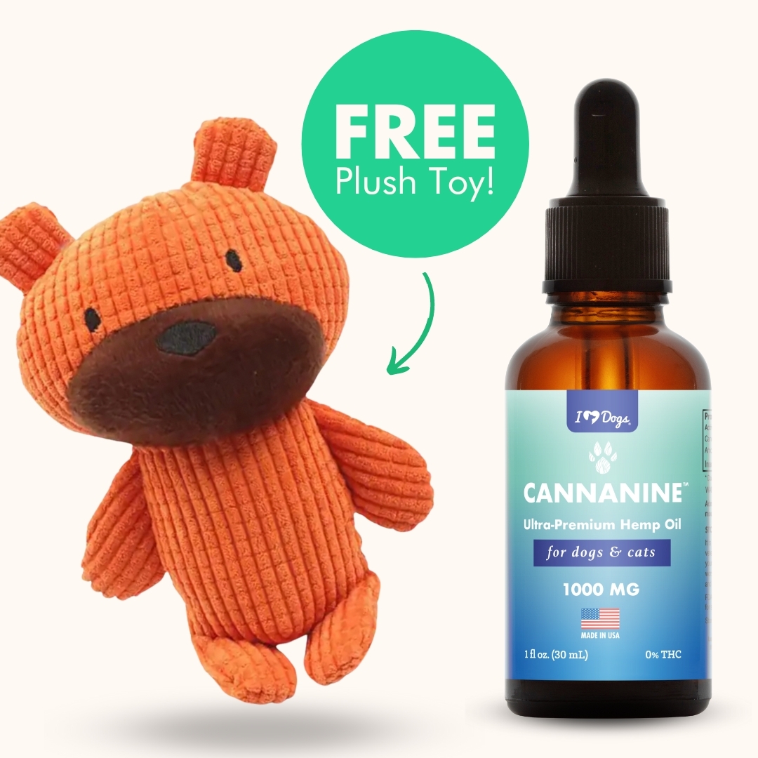 FREE Pumpkin The Bear Dog Plush Toy with Squeaker With Purchase of Ultra-Premium Broad Spectrum CBD Oil (250mg, 500mg or 1,000 mg)