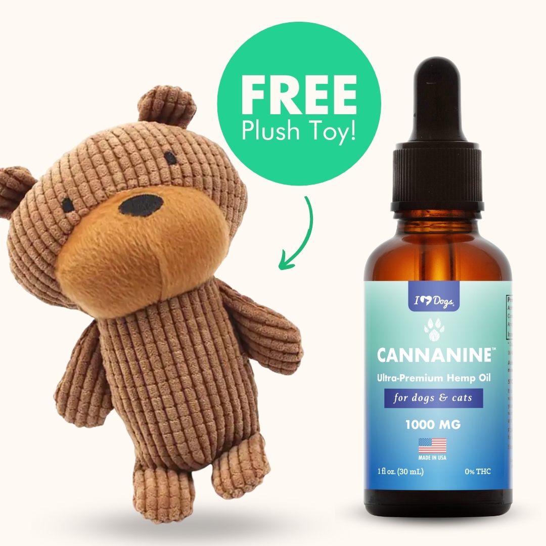 FREE Ted The Bear Dog Plush Toy with Squeaker With Purchase of Ultra-Premium Broad Spectrum CBD Oil (250mg, 500mg or 1,000 mg)