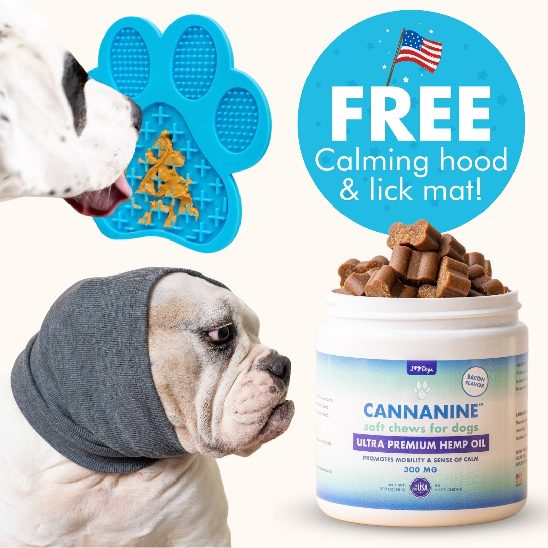 FREE Quiet Ears Calming Anxiety Headband Lick Mat for Dogs with Purchase of Bacon Flavored Broad Spectrum Hemp Soft Chews 60 CT