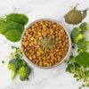 Super-Greens: Vitamin, Mineral & Probiotic Supplement for Dogs with Spirulina, Kelp, Green Tea, Spinach, Chlorella, & Broccoli Sprouts - 90 Scoops - Image 4