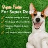 Super-Greens: Vitamin, Mineral & Probiotic Supplement for Dogs with Spirulina, Kelp, Green Tea, Spinach, Chlorella, & Broccoli Sprouts - 90 Scoops - Image 6