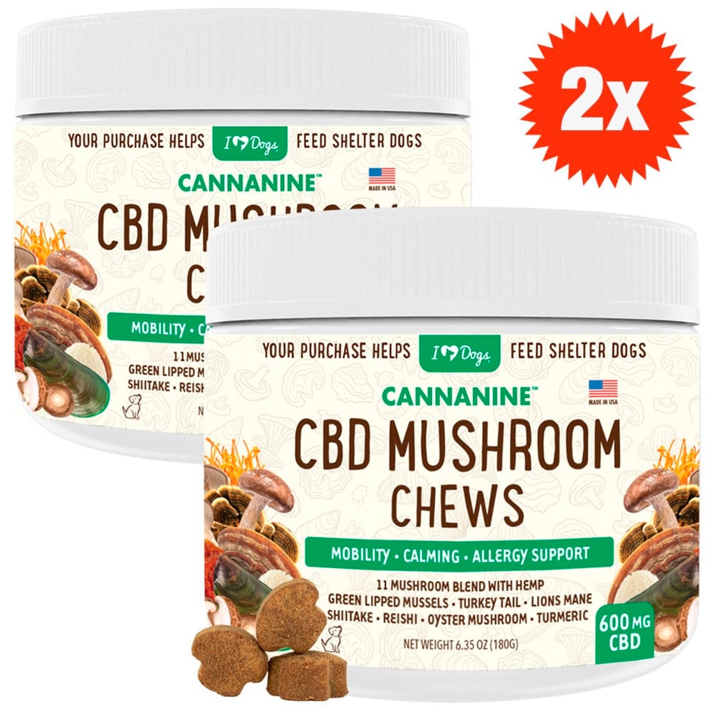 Buy 2 & SAVE - CBD Mushroom Chews For Dogs - Mobility, Calming, Allergy & Immune Support – Super Mushroom Blend with Turkey Tail, Lion’s Main, Shiitake & Green Lipped Mussels - 60ct / 600MG CBD