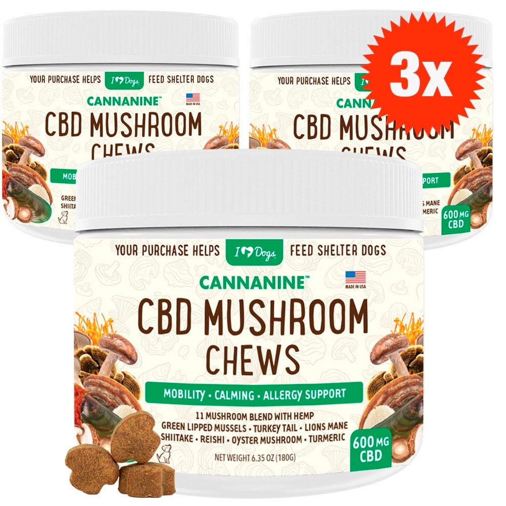 Buy 3 & SAVE - CBD Mushroom Chews For Dogs - Mobility, Calming, Allergy & Immune Support – Super Mushroom Blend with Turkey Tail, Lion’s Main, Shiitake & Green Lipped Mussels - 60ct / 600MG CBD