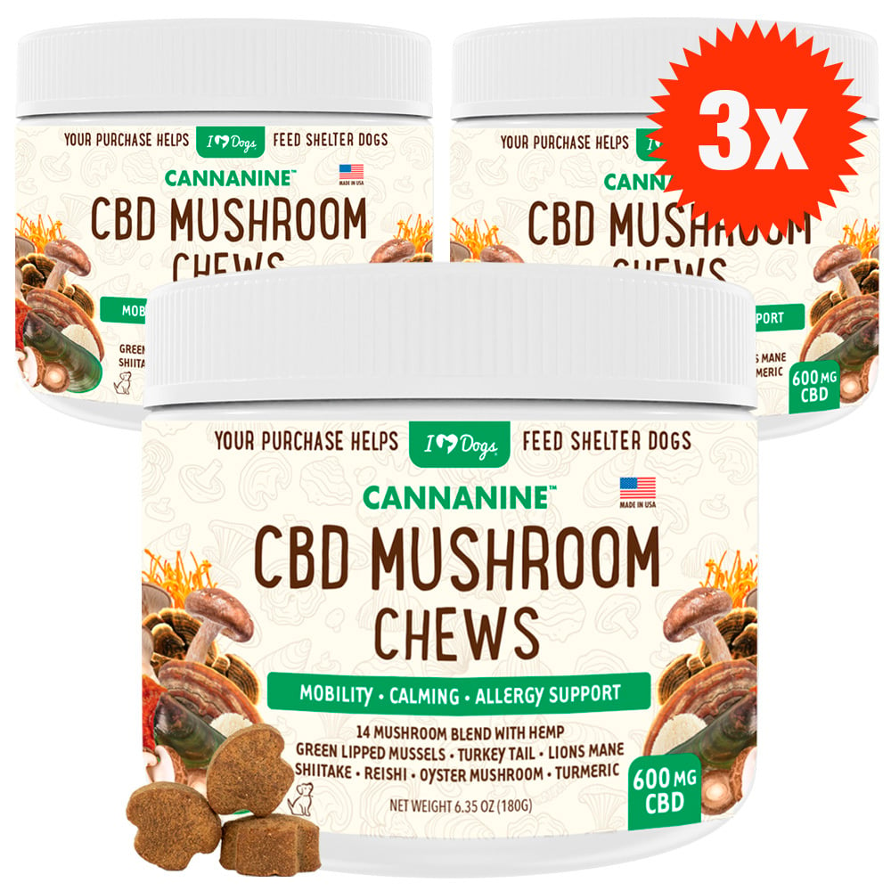 Buy 3 & SAVE - CBD Mushroom Chews For Dogs - Mobility, Calming, Allergy & Immune Support – 14 Mushroom Blend with Turkey Tail, Lion’s Main, Shiitake & Green Lipped Mussels - 60ct / 600MG CBD