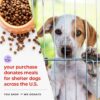Buy 3 Get 33% OFF Cannanine™  Bacon Flavored Hemp Calming Soft Chews - Image 8
