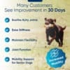 Buy 3 Get 33% OFF Cannanine™  Bacon Flavored Hemp Calming Soft Chews - Image 3